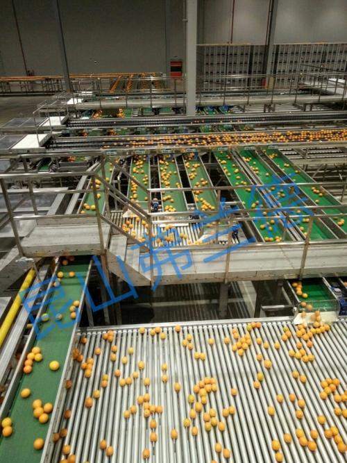 皮帶輥筒鏈條模組網帶輸送線5